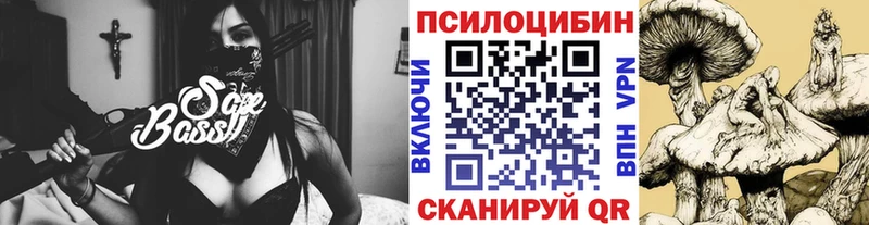 дарнет шоп  МЕГА ТОР  Псилоцибиновые грибы Psilocybine cubensis  Сасово 